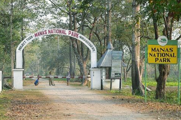 Manas-National-Park-Assam