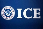 129 among 130 arrested, ICE arrests 130, us 129 indians among 130 students arrested in pay to stay immigration fraud, American telugu association