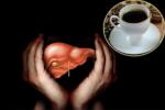 Coffee in protecting Livers, Alcohol and Coffee, coffee consumption helps in protecting boozers livers, Alcohol addicts