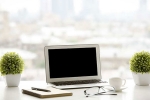 stress, stress, a plant in your office can help in preventing sick days says experts, Toxic chemicals