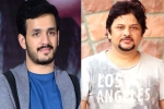 Akhil Akkineni announcement, Akhil Akkineni news, akhil akkineni and surendar reddy joins hands, Coronavirus lockdown