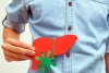 Basic Tests For Your Liver Health Basic Tests For Your Liver Health