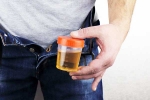 Hidden Kidney Cancer Risks new updates, Hidden Kidney Cancer Risks tips, spotting blood in urine can reveal hidden kidney cancer risks, Hospital