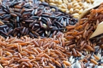 Brown Rice Vs Black Rice, Brown Rice Vs Black Rice news, brown rice vs black rice which one is healthier, Blood sugar control