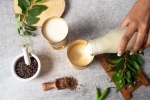 Buttermilk for Weightloss updates, Buttermilk for Weightloss, buttermilk before bed will help in weight loss, Rock on