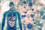 COVID-19, doctors, covid 19 can affect almost all organs experts at aiims, Neurology