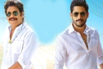 Naga Chaitanya, Bangarraju release news, ten days worldwide collections of bangarraju, Kalyan krishna