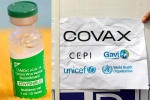 Covishield updates, COVAX updates, sii to resume covishield supply to covax, Covax