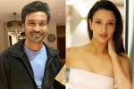 Triptii Dimri next movie, Triptii Dimri breaking updates, dhanush to romance animal actress triptii dimri, Uttar pradesh