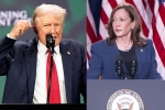 Donald Trump Vs Kamala Harris war, Donald Trump Vs Kamala Harris comments, donald trump calls kamala harris is married to a jewish man, Nbc