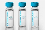 EUL for Covaxin breaking news, EUL, who delays the eul decision on covaxin, Covax