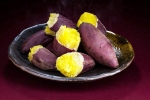Sweet Potato breaking, Sweet Potato advise, what happens if you eat sweet potato everyday, Latest news