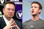 Elon Musk and Mark Zuckerberg breaking, Elon Musk and Mark Zuckerberg war, elon vs zuckerberg mma fight ahead, Lex fridman