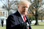 constitutional crisis, senators, former u s senators warn of constitutional crisis under trump, Porn star