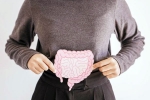 Gut Vs Skin latest breaking, Gut Vs Skin tips, your gut decides about your skin, Ageing