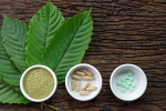 healthy living, lifestyle, this pain treating herbal supplement is not safe for use, Disorders care