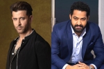 Hrithik Roshan and NTR for War 2, Ayan Mukerji, hrithik roshan s birthday wishes to ntr, Happy birthday