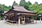 Japan Viral Mikami Shrine pictures, Japan Viral Mikami Shrine videos, why are travellers flocking to japan s viral mikami shrine, Dress