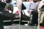 poonam joshi saving Indian flag, poonam joshi, watch journalist jumps into violent protest to save indian tricolor, Sikh man