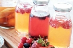 Kombucha and Fermented Foods breaking, Kombucha and Fermented Foods breaking, health benefits of kombucha and fermented foods, Us visa