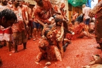 tomato festival spain 2019, la tomatina tickets, la tomatina 2019 thousands hurl fruit at fun food festival, La tomatina tomato festival spain 2019, la tomatina tickets, la tomatina 2019 thousands hurl fruit at fun food festival, La tomatina