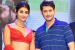 Pooja Hegde and Trivikram, Pooja Hegde next movie, mahesh babu all set to romance pooja hegde again, Maharshi