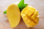 tasty mangoes, calcium carbide on fruits, mouth watering mangoes may contain cancer causing chemicals, Toxic chemicals