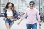Manmadhudu 2 trailer, Rakul Preet Singh, manmadhudu 2 trailer is packed with entertainment, Rahul ravindran Manmadhudu 2 trailer, Rakul Preet Singh, manmadhudu 2 trailer is packed with entertainment, Rahul ravindran