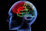 Iowa State University, Alzheimer disease, brain use it or lose it, Npt