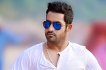 NTR, NTR, ntr s jai lava kusa updates, Nannaku prematho