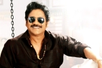 Bangarraju updates, Bangarraju film updates, nag s bangarraju to have a special dancing number, Shata