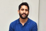 Naga Chaitanya updates, Srinivasaa Chitturi, change of plans for naga chaitanya, Vijay kanakamedala