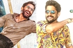 Naga Chaitanya breaking news, Naga Chaitanya birthday posters, naga chaitanya gearing up with two films, D day posters