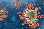 China Covid Row reports, China Covid Row cases, new china coronavirus variant traced in india, China covid 19