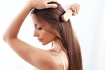 Healthy Hair nutritional food, Healthy Hair, nutrition tips for a healthy hair, Hair care