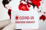 Omicron USA breaking news, Anthony Fauci, omicron is no worse than other variants says us scientists, Anthony fauci