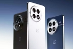OnePlus 13 launch, OnePlus 13 launch date, oneplus 13 to be launched on october 31st, Silk