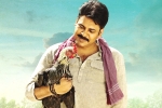 Katamarayudu updates, Shruti Haasan, katamarayudu brings huge figures on business, Kishore pardasani