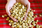 Pistachios news, Pistachios news, pistachios are a perfect protein snack, Sugar