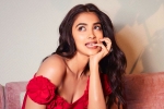 Pooja Hegde, Pooja Hegde flops, pooja hegde in talks for a biggie, Siddharth roy kapur