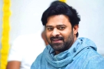 Prabhas news, Prabhas new film, prabhas jaan delayed further, Weightloss