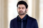 Prabhas new movie, Prabhas new movie title, new updates of prabhas and maruthi film, Boman