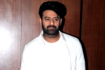 Prabhas movie news, Prabhas movie budget, two beauties locked to romance prabhas, Krishnam raju