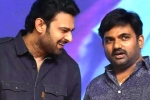 Prabhas and Maruthi film title, Prabhas and Maruthi film new title, new title for prabhas and maruthi film, Nidhhi agerwal