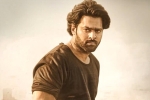 Prabhas and Maruthi film news, Prabhas and Maruthi new movie, prabhas to romance three heroines, Horror film