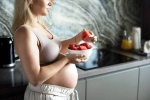 Pregnant Women latest breaking, Pregnant Women specialists, pregnant women need 50 000 dietary calories to carry a child, Australian scientists