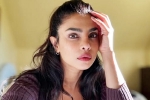 Priyanka Chopra breaking, Priyanka Chopra, priyanka chopra breaks silence on don t look for virgin wife comment, Mahesh babu