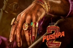 Sukumar, Pushpa: The Rule updates, allu arjun s dedication for pushpa the rule, Rockstar