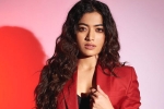 Rashmika and Manager issue, Rashmika and Manager controversy, rashmika mandanna clears air, Animal film Rashmika and Manager issue, Rashmika and Manager controversy, rashmika mandanna clears air, Animal film