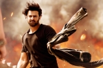 Saaho, Saaho latest, saaho ten days telugu states collections, Neil nitin mukesh